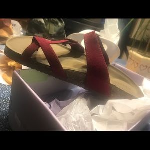 Meet your Posher, Molly